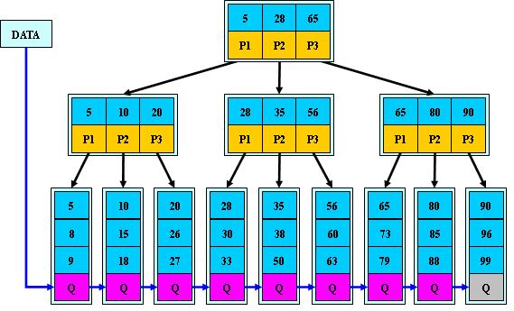 B树、B-树、B+树、B*树之间的关系_子树_06