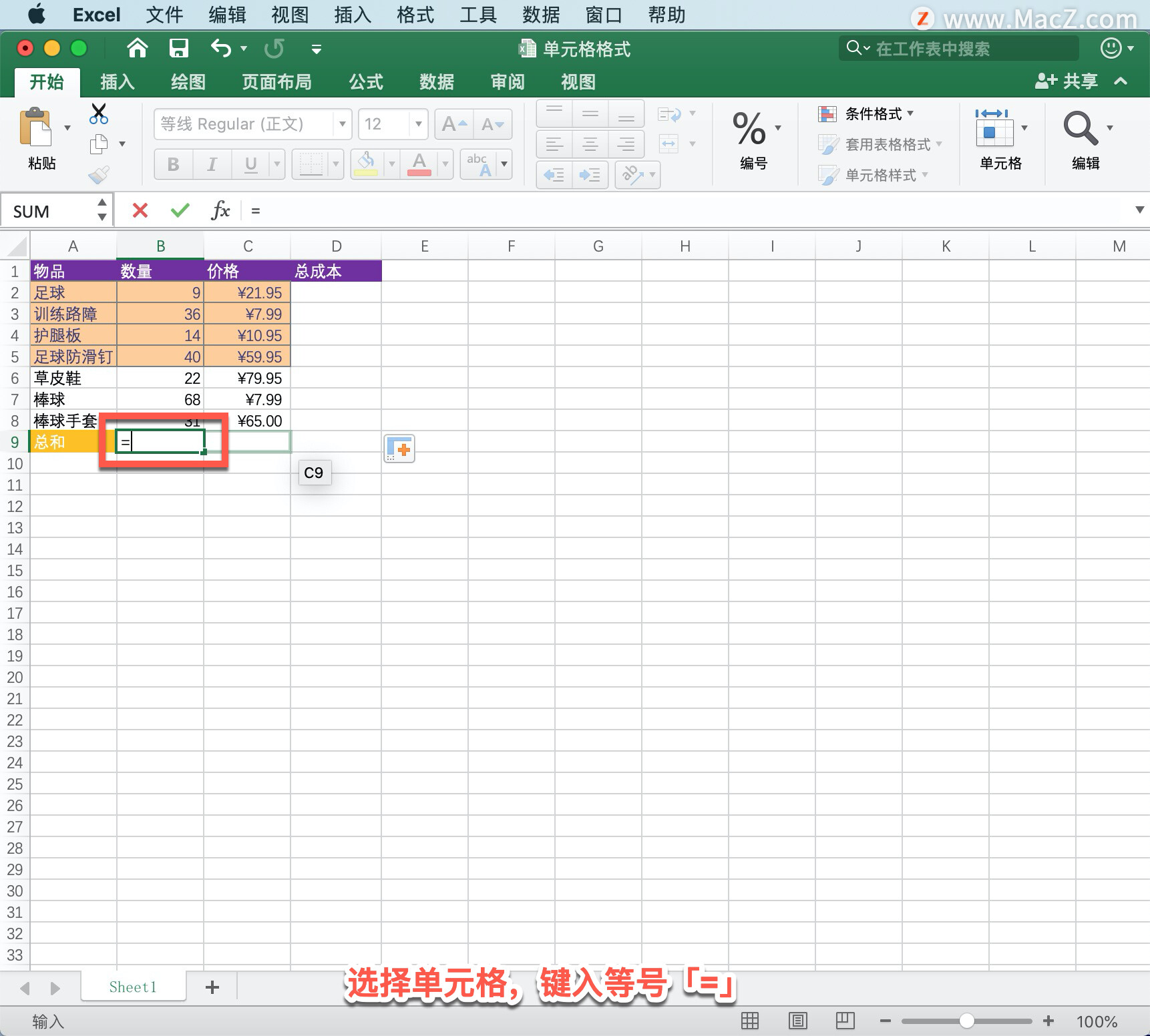 Microsoft Excel 教程，如何在 Excel 中创建公式并使用内置函数执行计算？_苹果mac