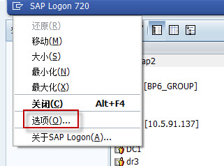 SAP <wbr>GUI登陆 <wbr>安全性提示 <wbr> <wbr>出现乱码