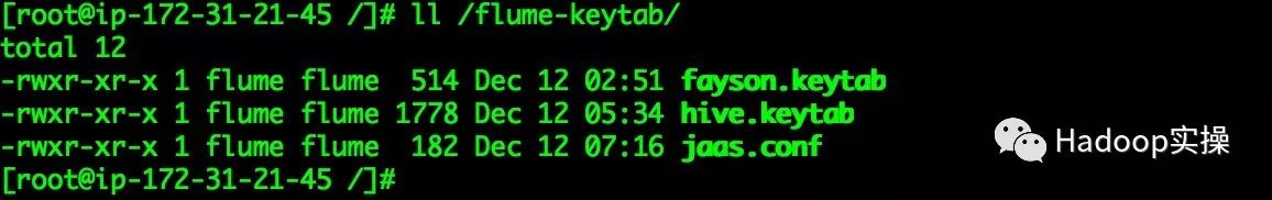 如何在Kerberos环境使用Flume采集Kafka数据并写入HDFS_java_07
