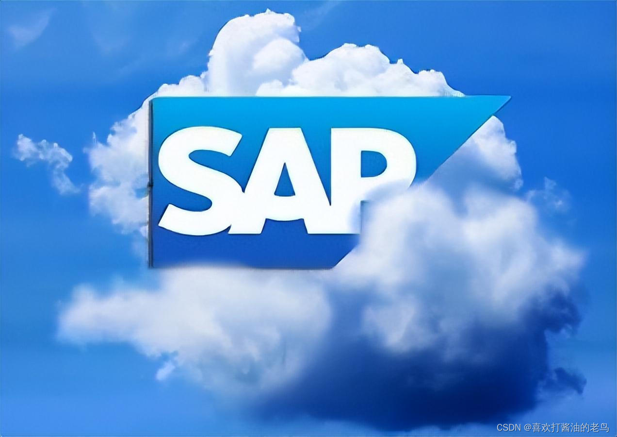 SAP ERP系统里的那些核心主数据_主数据