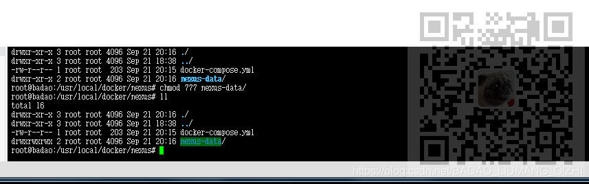 使用Docker Compose 部署Nexus后提示：Unable to create directory /nexus-data/instance_Server_02