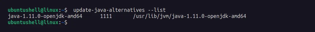 https://ubuntushell.com/wp-content/uploads/2024/03/checking-if-java-is-installed.webp