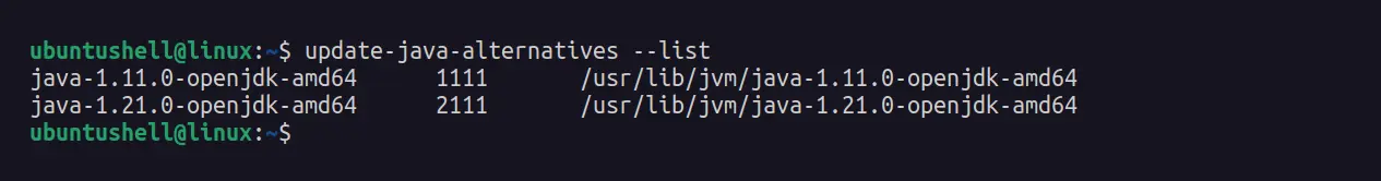 https://ubuntushell.com/wp-content/uploads/2024/03/checking-installed-java-versions.webp