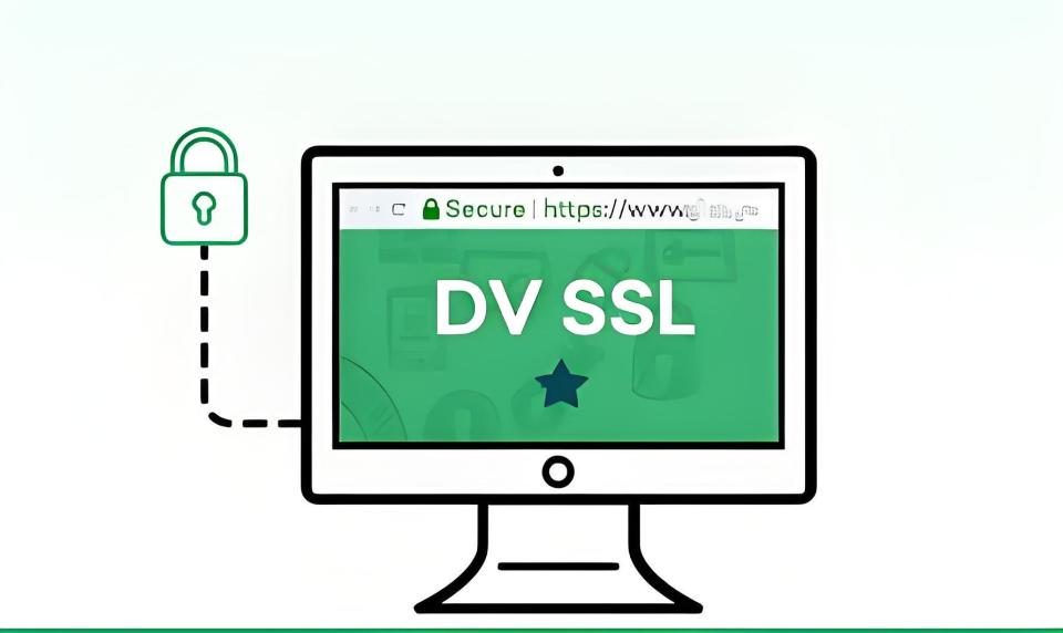 DV证书——网站安全的第一道防线_HTTPS_02