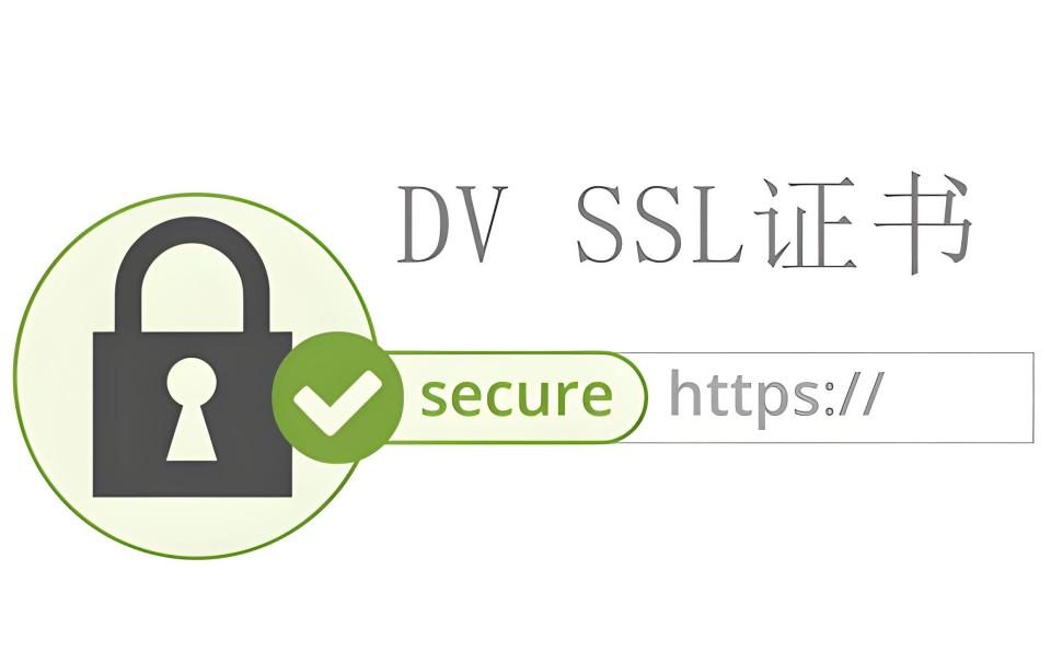 DV证书——网站安全的第一道防线_HTTPS