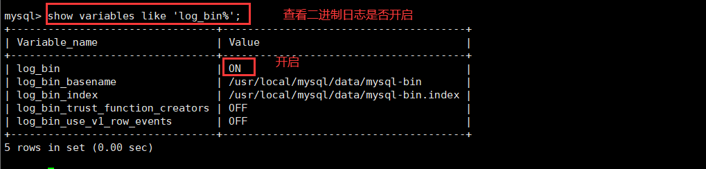 MySQL日志管理_数据_05
