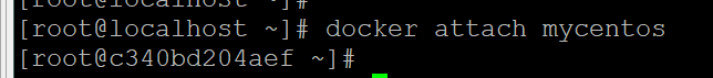 docker入门（镜像和容器的使用）docker使用教程相关系列 目录_docker_19