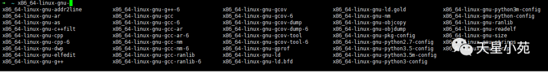 GNU/GCC 基础介绍_编译器