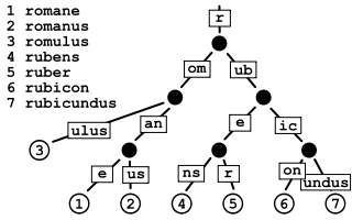 心中有“树”！图文并茂介绍数据结构中常见的树（一）_红黑树_06