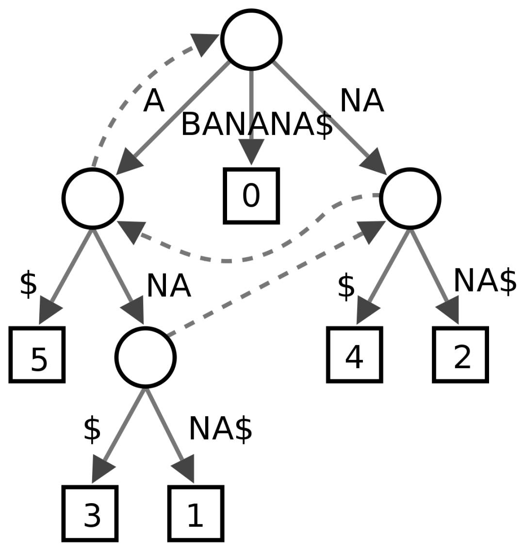 心中有“树”！图文并茂介绍数据结构中常见的树（一）_后缀树_07