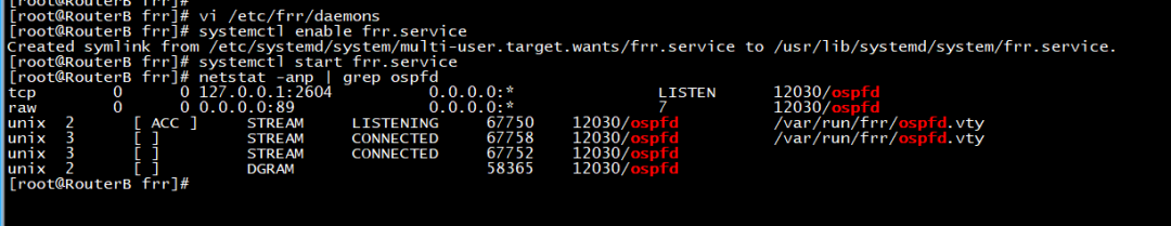 CentOS7下利用FRR路由套件实现OSPF动态路由组网_路由协议_16