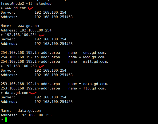 DNS服务器配置与管理（案例展示）_配置文件_16