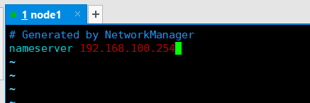 DNS服务器配置与管理（案例展示）_dns服务器_10
