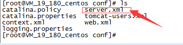 【Linux】Linux下安装Tomcat服务器_服务器_10