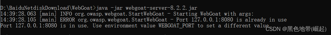 【WebGoat安装错误合集】WebGoat8.2.2每一步出现的错误整理，最后附带正确的安装教程_web安全_04