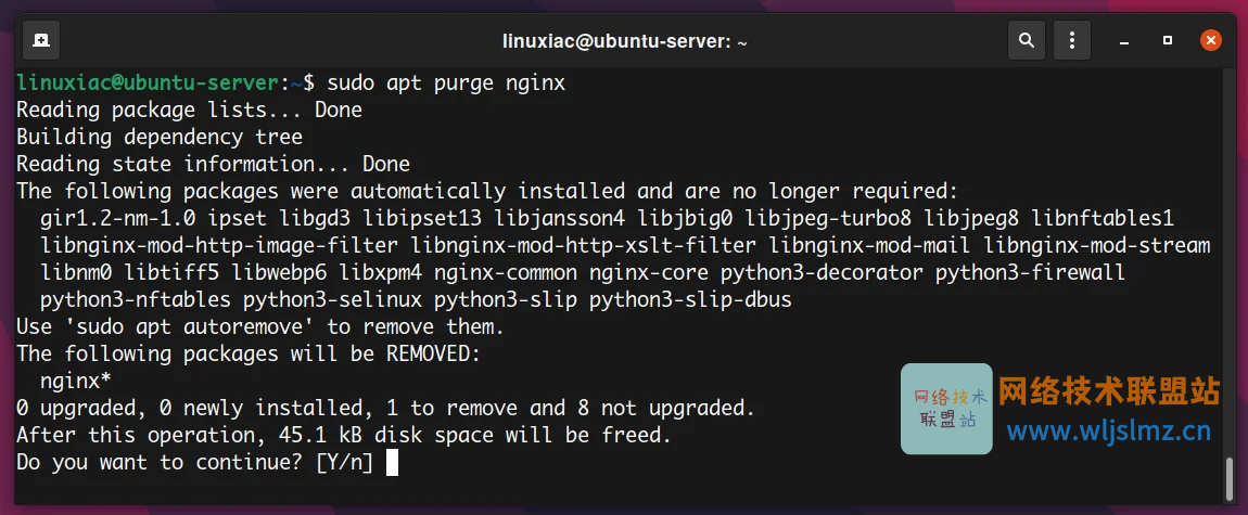 如何在 Linux 中使用 apt 命令管理包_nginx_09