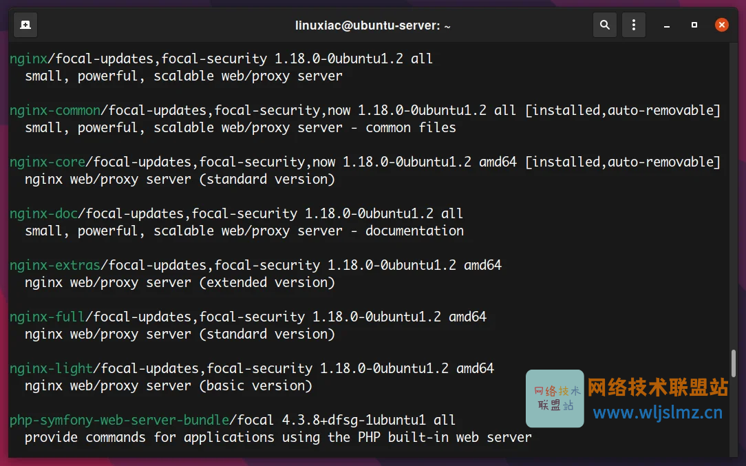 如何在 Linux 中使用 apt 命令管理包_ubuntu_11