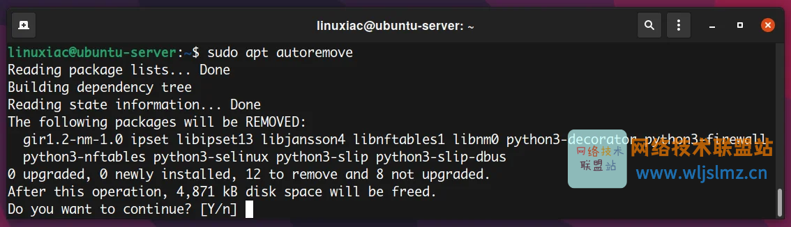 如何在 Linux 中使用 apt 命令管理包_nginx_10