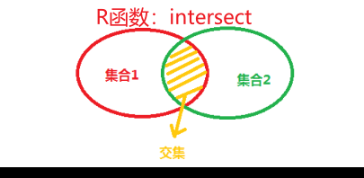 R语言中交集，并集，补集，差集的方法：向量和数据框_r语言_02