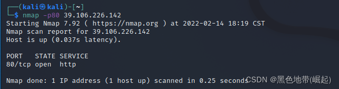 【端口扫描工具】nmap核心使用方法_自定义_06