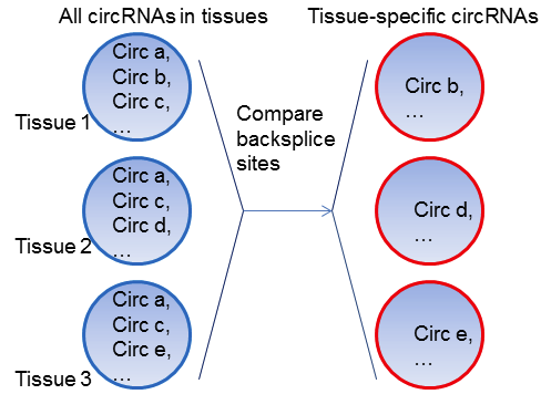 TSCD:人和小鼠组织特异性环状RNA数据库_数据