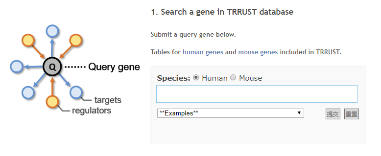 TRRUST:人和小鼠的转录因子调控网络数据库_官网_02