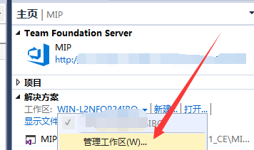 如何从TFS（Visual Studio Team Foundation Server）映射下载本地文件夹_工作区_02
