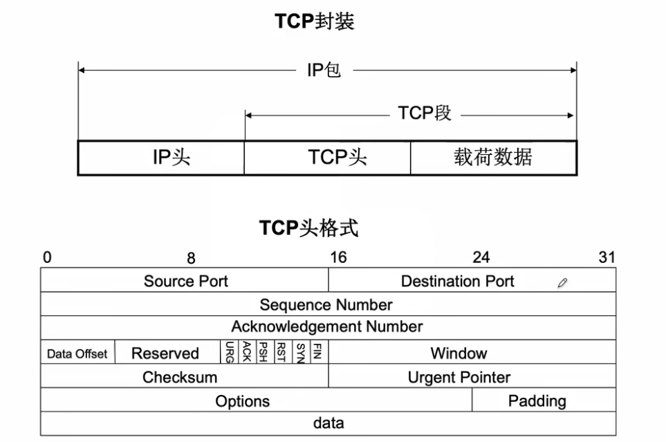 TCP/UDP基本原理_传输延迟