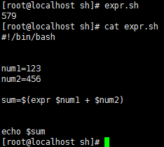 Linux的shell编程篇之变量与运算_自定义_23