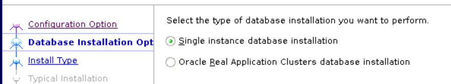 Linux安装Oracle 19.13(图形版)_图形安装Oracle 19_06