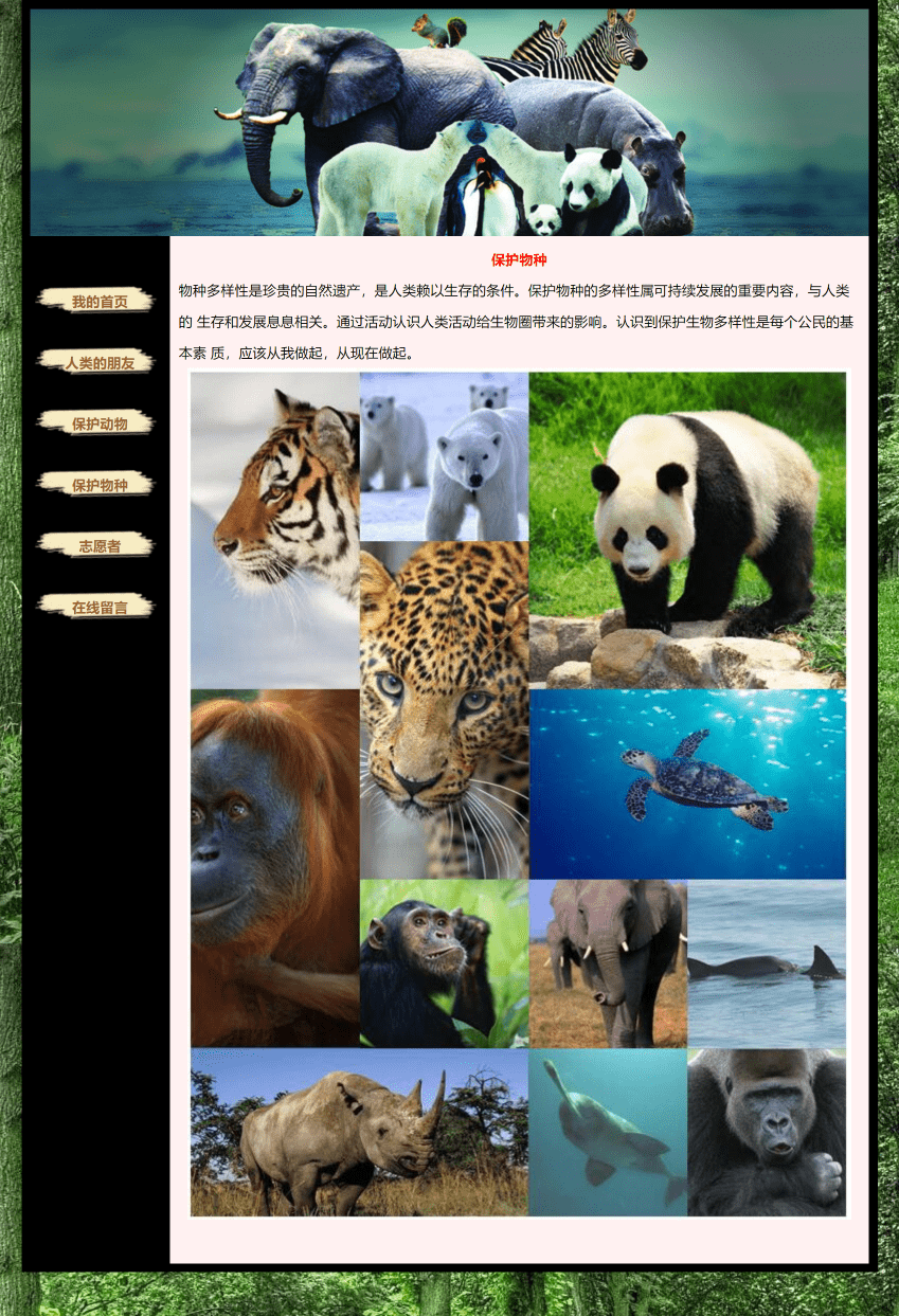 HTML网页设计：爱护动物题材——保护动物大象(6页) HTML网页设计结课作业 web课程设计网页规划与设计 网页设计成品DW静态网页_css_05