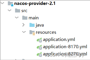 【微服务】Nacos集群搭建以及加载文件配置_原力计划_05