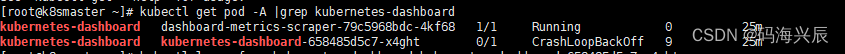 K8S的安装kubernetes-dashboard服务起来了，访问不到解决_内网_04