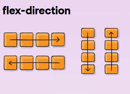 CSS Flex 布局的 flex-direction 属性讲解_CSS