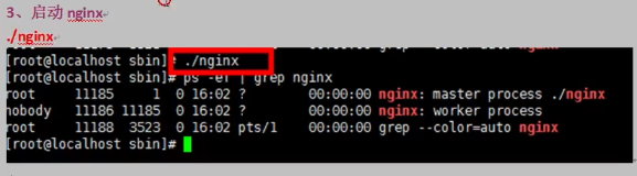 nginx的学习3-nginx常用命令_版本号_03