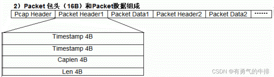 pacp格式文件分析_网络_02