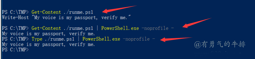 Windows PowerShell命令大全_作用域_14