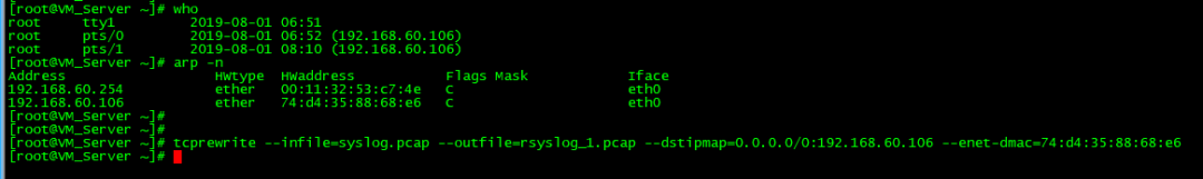 Tcpreplay重放pcap包， tcprewrite编辑pcap文件_服务器_03