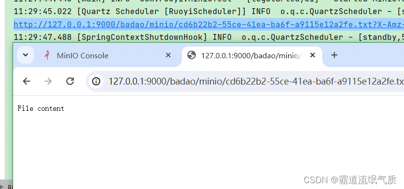 SpringBoot中集成Minio高性能分布式存储文件服务入门_Boo_05