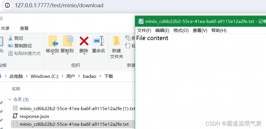 SpringBoot中集成Minio高性能分布式存储文件服务入门_List_06