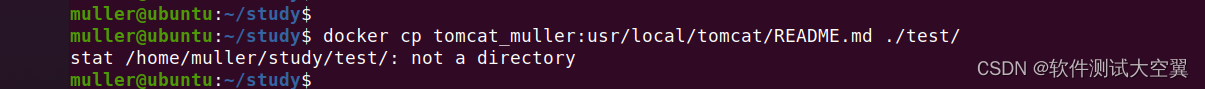 Docker cp命令详解：在Docker容器和主机之间复制文件/文件夹_Docker_04
