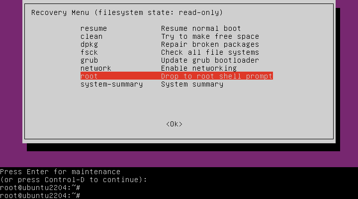 Ubuntu如何进救援模式_回车键_08