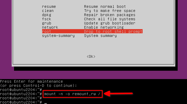 Ubuntu如何进救援模式_回车键_09