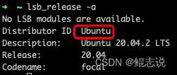 Linux：报错“command not found: yum”及yum和apt-get的区别_centos_02